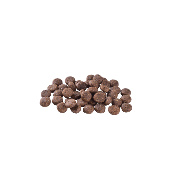 Brit Care Dog Grain-free Adult д/дорослих собак усіх порід (Лосось, 1кг) Brit фото