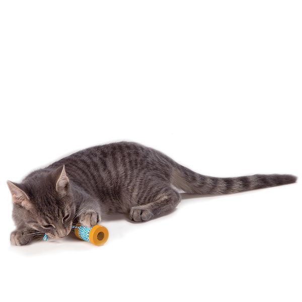 Іграшка Petstages Orka Spool Йо-йо для котів Petstages фото