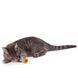 Іграшка Petstages Orka Spool Йо-йо для котів Petstages фото 3