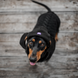 Шапка для собак з акрилу Hat-Dog (M, Помаранчева) HatDog фото 7