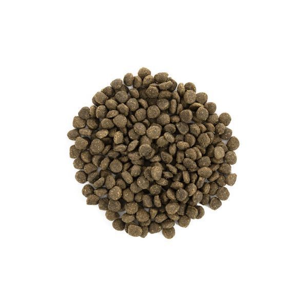 Сухий корм для собак Brit Care Grain Free Mini Adult (400g, ягнятина) Brit фото