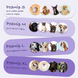 Панама для собак тедді на хутрі Hat-Dog HatDog фото 5