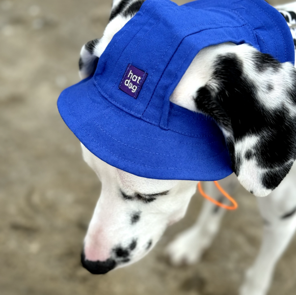 Панама для собак з котону Hat-Dog HatDog фото
