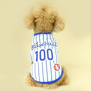 Футболка у смужку Baseball (S, Синій) Paw Space фото
