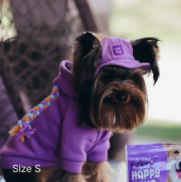Панама для собак з вельвету Hat-Dog HatDog фото