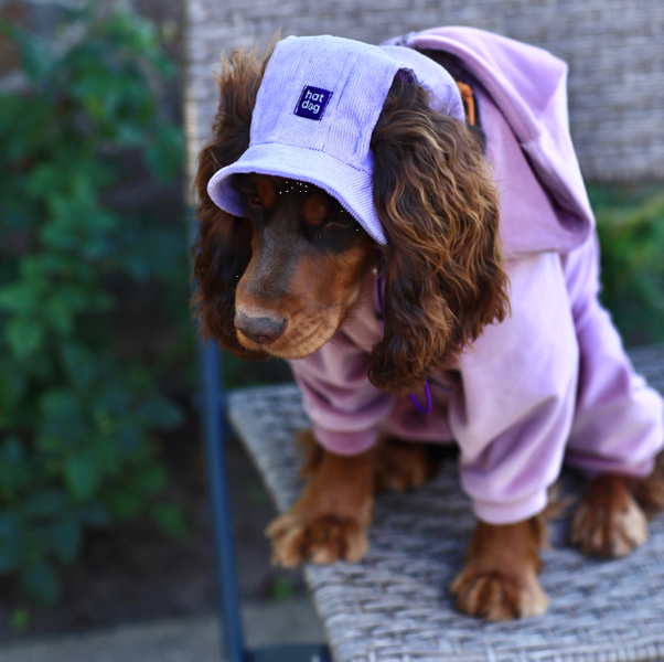 Панама для собак з вельвету Hat-Dog HatDog фото