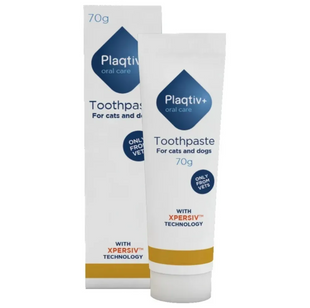 Зубна паста для собак та котів Plaqtiv+ Toothpaste, 70 г Ecuphar (Orozyme) фото