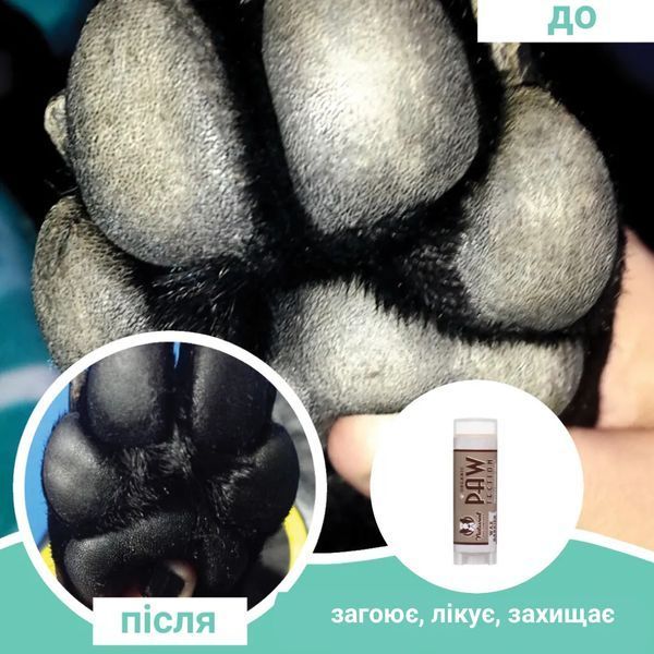 Бальзам для захисту лап Paw Tection Natural Dog Company Natural Dog Company фото