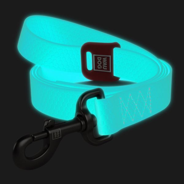 Повідець для собак водостійкий WAUDOG Waterproof, світиться (S, Ментоловий, 15 мм, 122 см) Wau Dog фото