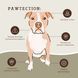 Бальзам для захисту лап Paw Tection Natural Dog Company Natural Dog Company фото 4