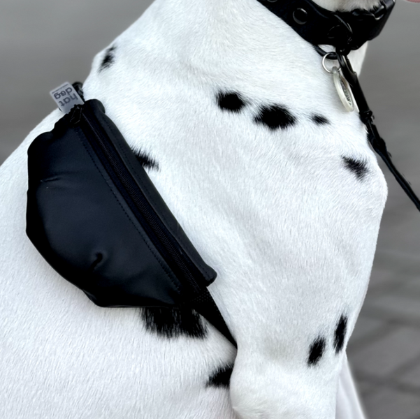 Сумка-бананка для собак з еко-шкіри Hat-Dog HatDog фото