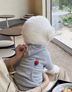 Худі для собак Bear Polo (Сірий) Paw Space фото