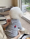 Худі для собак Bear Polo (Сірий) Paw Space фото 1