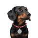Шнурок для адресника з паракорду (S, 25-45 см, Чорний) Wau Dog фото 2
