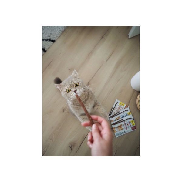 Ласощі GimCat для котів палички ГімКет Стікс з індичкою та кроликом GimCat фото