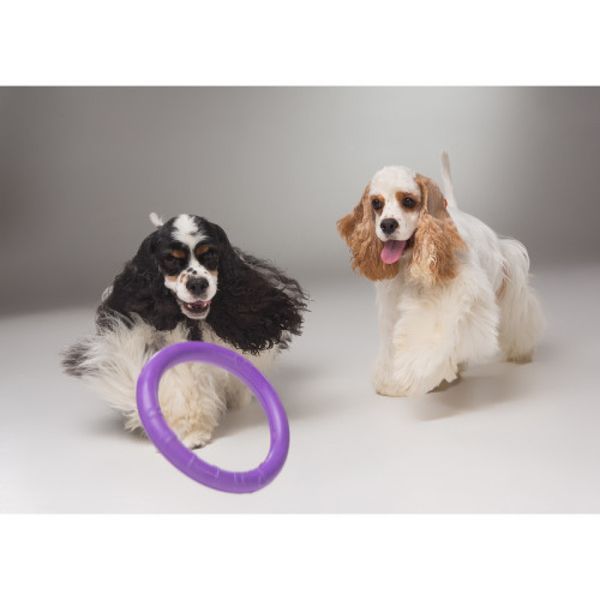Тренувальний снаряд для собак PULLER (Mini, 18см) Wau Dog фото