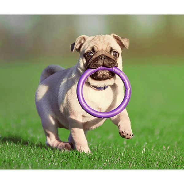 Тренувальний снаряд для собак PULLER (Mini, 18см) Wau Dog фото