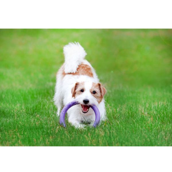 Тренувальний снаряд для собак PULLER (Mini, 18см) Wau Dog фото