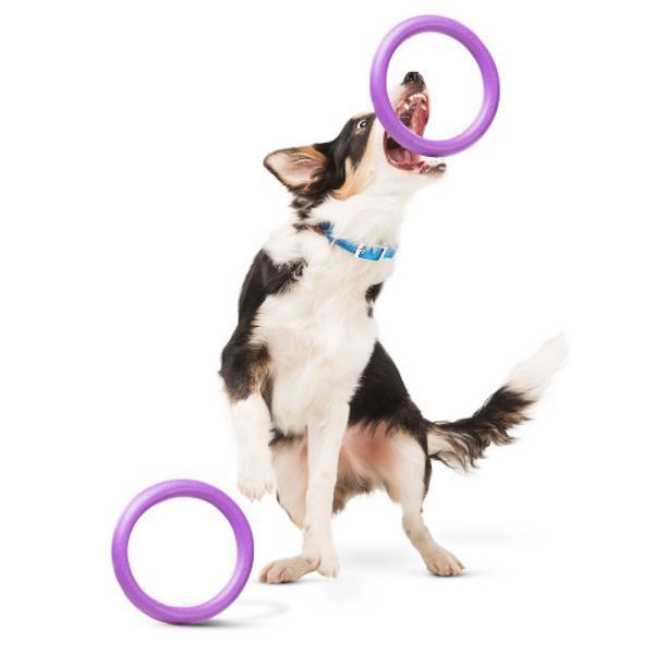 Тренувальний снаряд для собак PULLER (Mini, 18см) Wau Dog фото