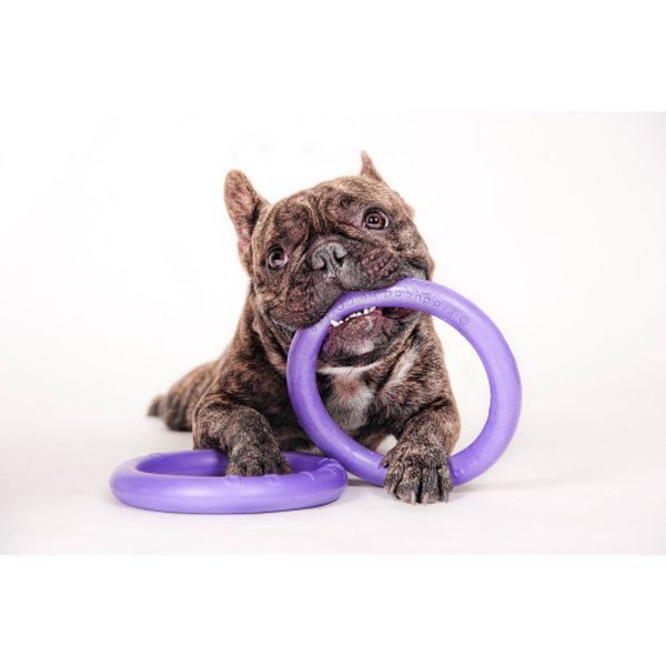 Тренувальний снаряд для собак PULLER (Mini, 18см) Wau Dog фото