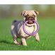 Тренувальний снаряд для собак PULLER (Mini, 18см) Wau Dog фото 15