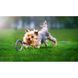 Тренувальний снаряд для собак PULLER (Mini, 18см) Wau Dog фото 10