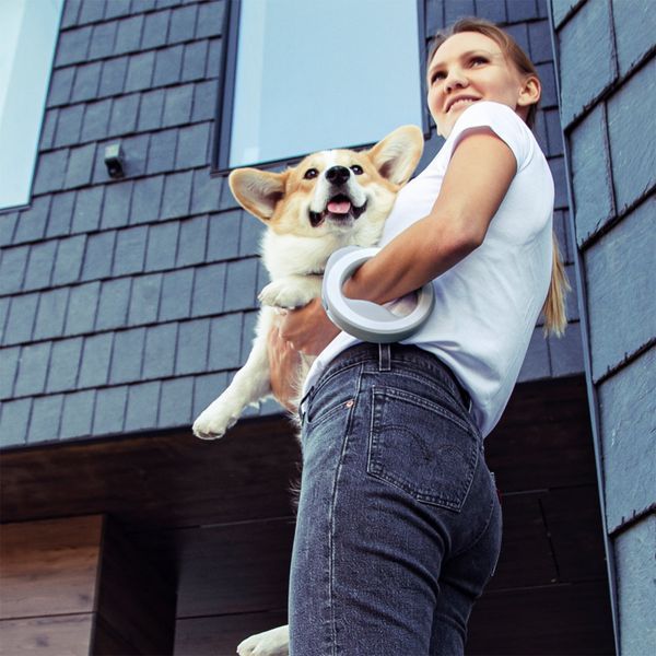 Повідець-рулетка для собак WAUDOG R-leash (Блакитний) Wau Dog фото