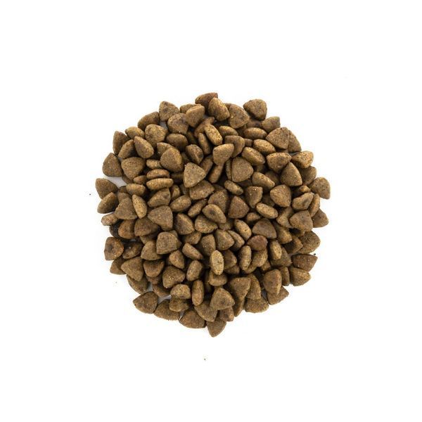 Brit Care Cat GF Haircare Healthy & Shiny Coat (курка та лосось, 400g) Brit фото
