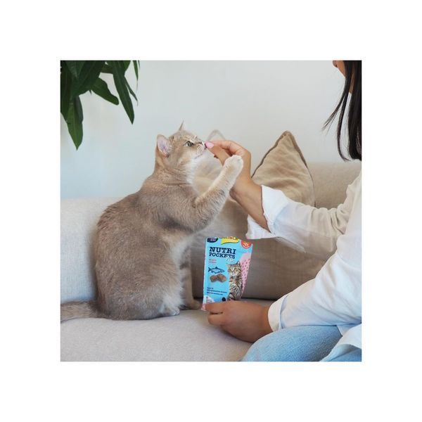 Ласощі GimCat Nutri Pockets для котів (Fish з лососем, 60г) GimCat фото