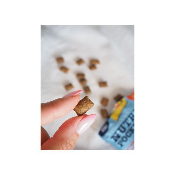 Ласощі GimCat Nutri Pockets для котів (Fish з лососем, 60г) GimCat фото