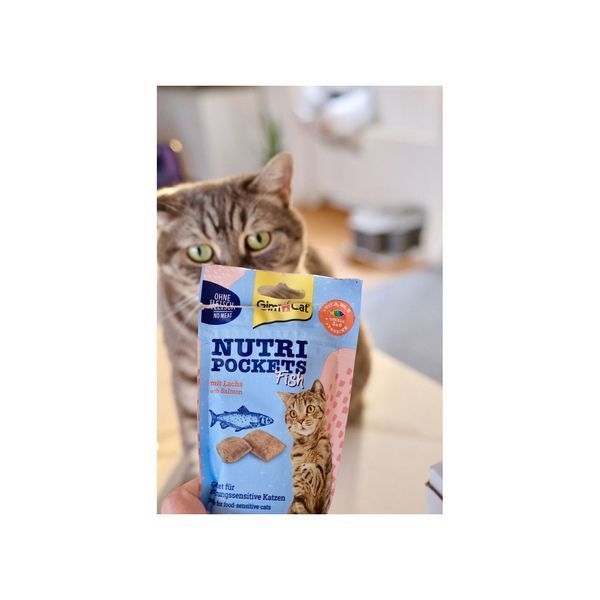 Ласощі GimCat Nutri Pockets для котів (Fish з лососем, 60г) GimCat фото