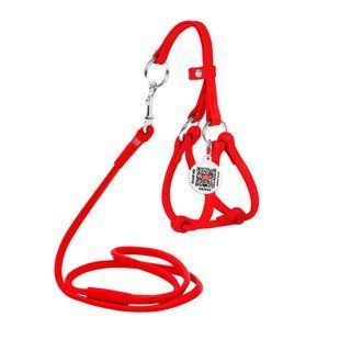 Шлея з повідцем шкіряна WAUDOG Glamour з QR (XS, Чорний) Wau Dog фото