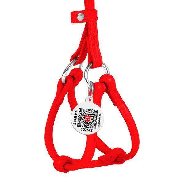Шлея з повідцем шкіряна WAUDOG Glamour з QR (XS, Чорний) Wau Dog фото
