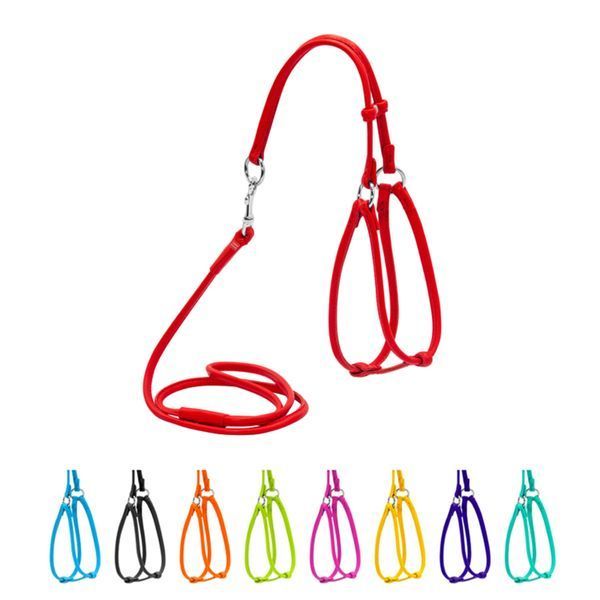 Шлея з повідцем шкіряна WAUDOG Glamour з QR (XS, Чорний) Wau Dog фото