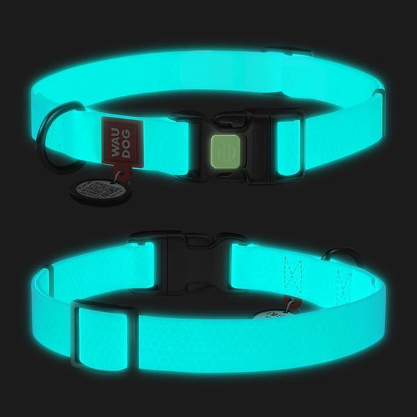 Нашийник для собак WAUDOG Waterproof з QR паспортом, світиться, пластикова пряжка-фастекс (M, 20 мм, 28-40 см) Wau Dog фото