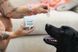 Серветки для очей Eye Wipes Natural Dog Company Natural Dog Company фото 6
