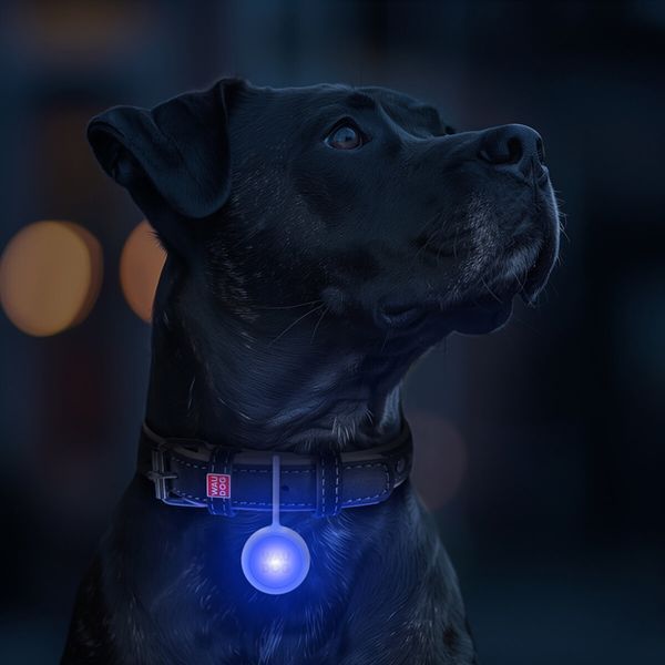 Ліхтарик для собак і котів WAUDOG LED, у силіконовому чохлі, що світиться, USB, Д 37 мм Wau Dog фото